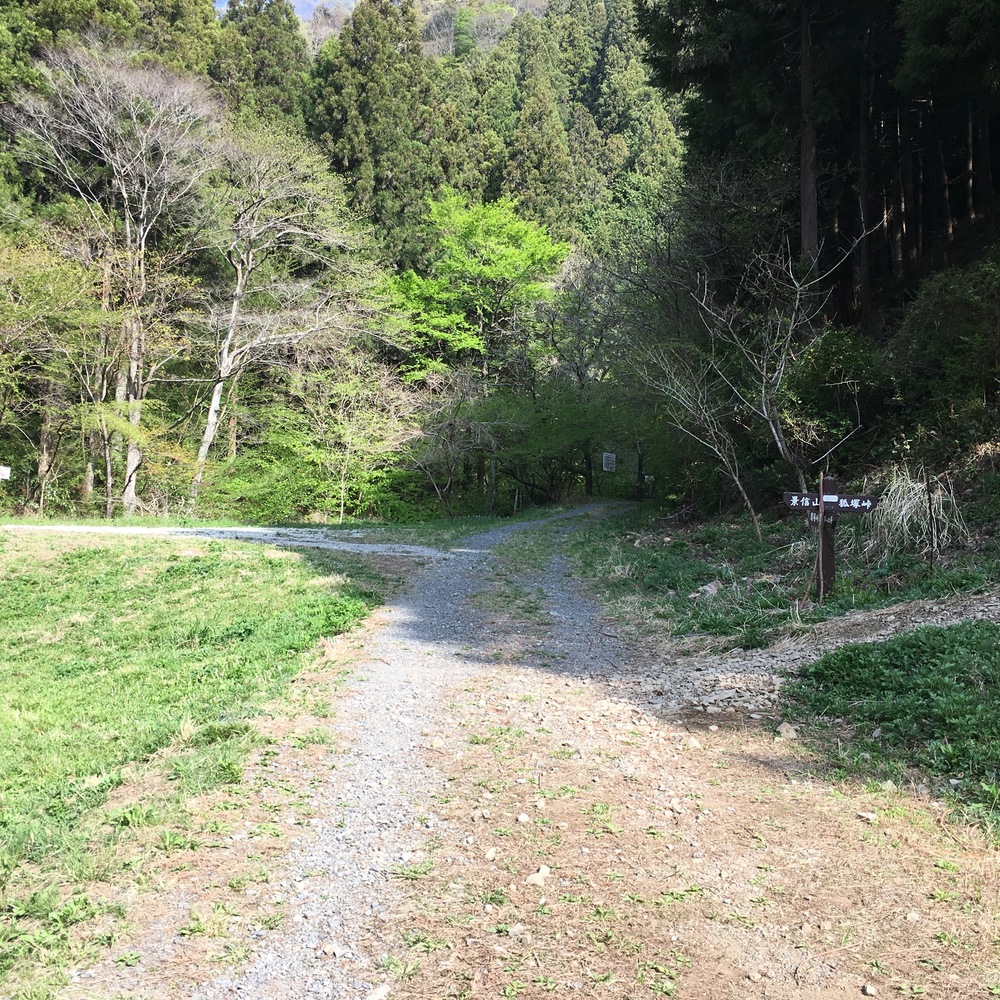高尾（山）五日市（路）富士見湯の写真3