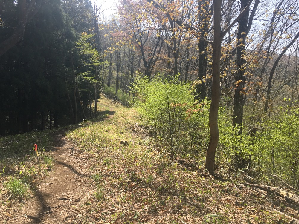 高尾（山）五日市（路）富士見湯の写真4