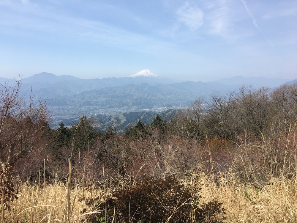 高尾（山）五日市（路）富士見湯の写真6