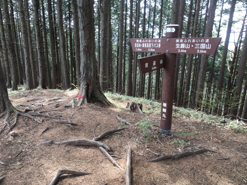 高尾（山）五日市（路）富士見湯の写真8