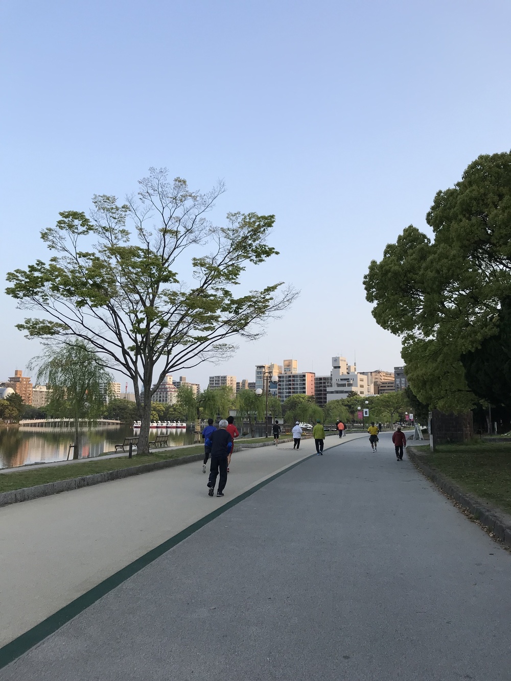 出張シティラン&大濠公園の写真3