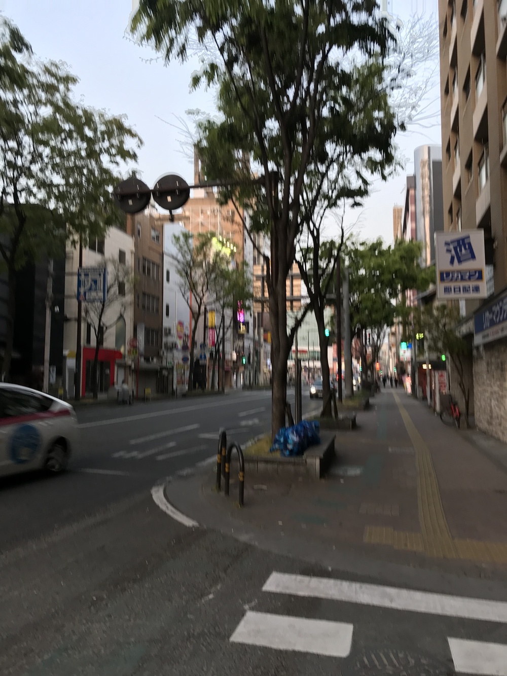 出張シティラン&大濠公園の写真5