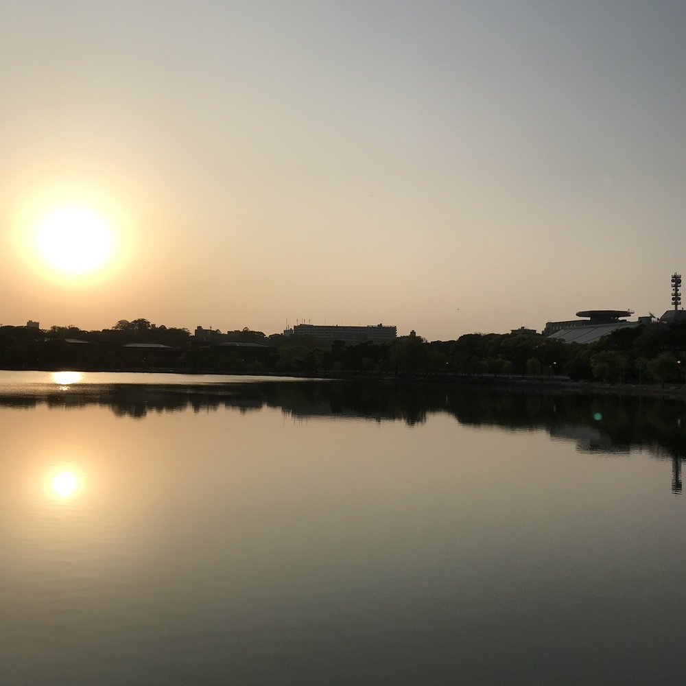 出張シティラン&大濠公園の写真7