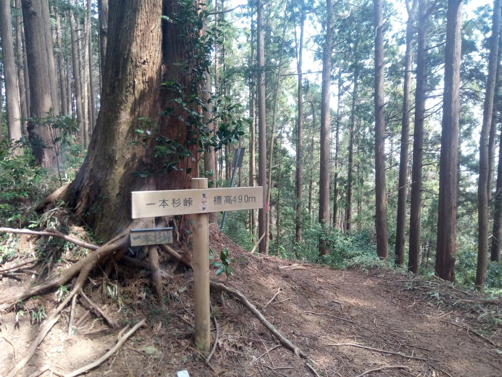 奥武蔵もろやまトレイルラン大会コースの写真4