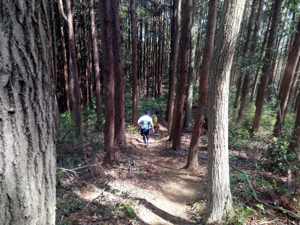 奥武蔵もろやまトレイルラン大会コースの写真5