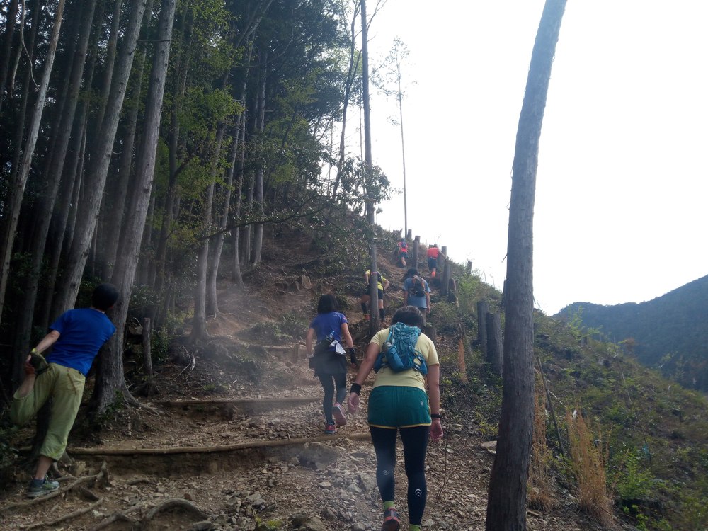 奥武蔵もろやまトレイルラン大会コースの写真8