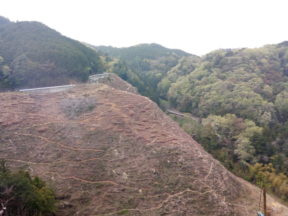 奥武蔵もろやまトレイルラン大会コースの写真9