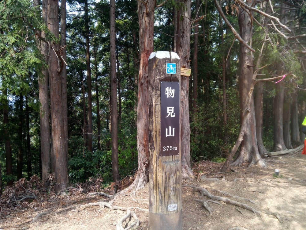 奥武蔵もろやまトレイルラン大会コースの写真10