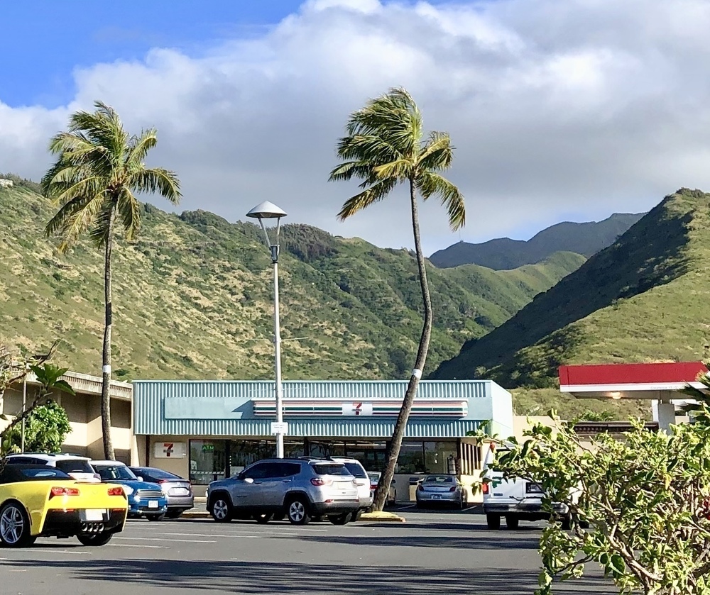 アラモアナ～ココヘッド往復ラン！の写真3