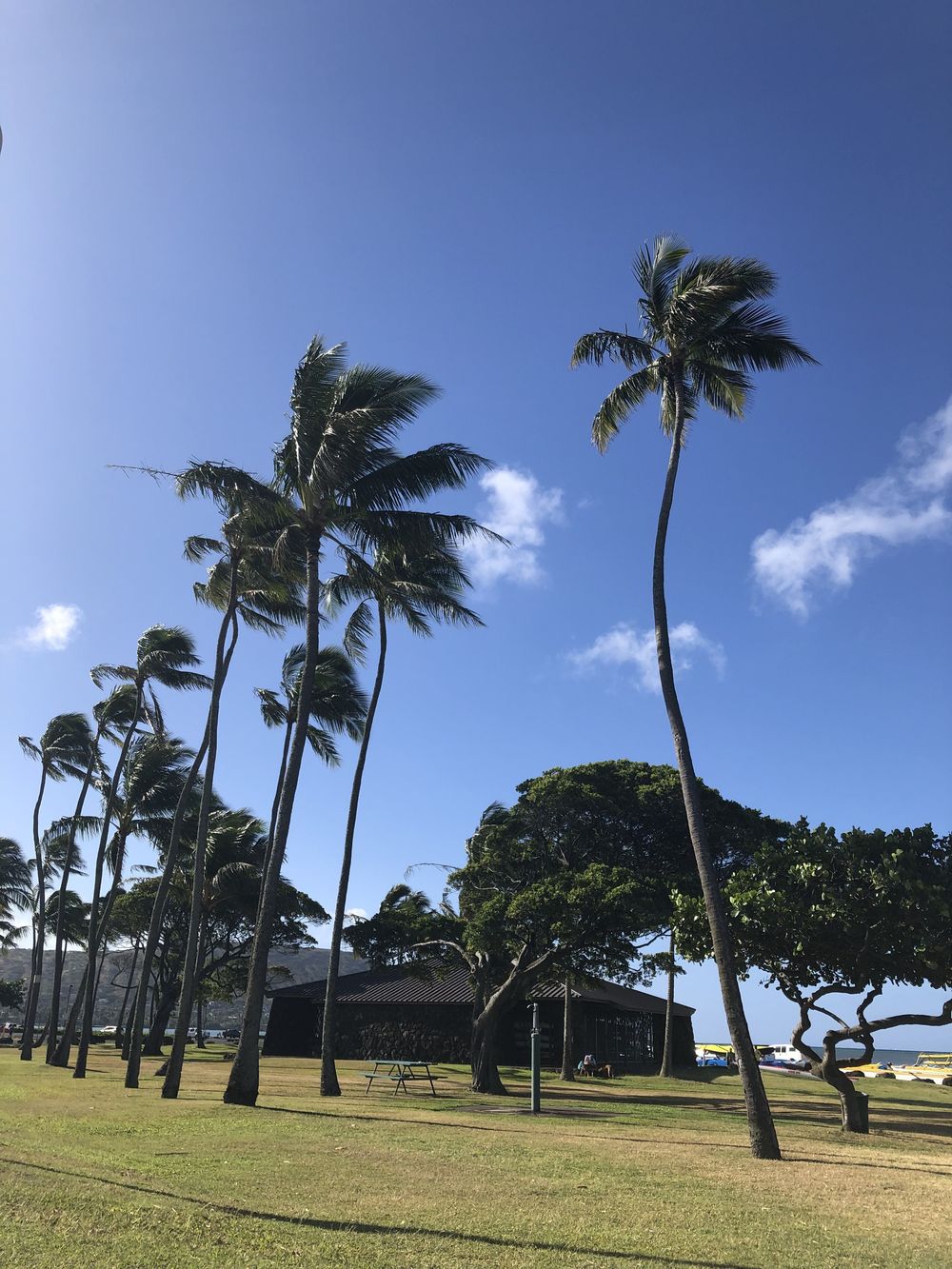 アラモアナ～ココヘッド往復ラン！の写真4