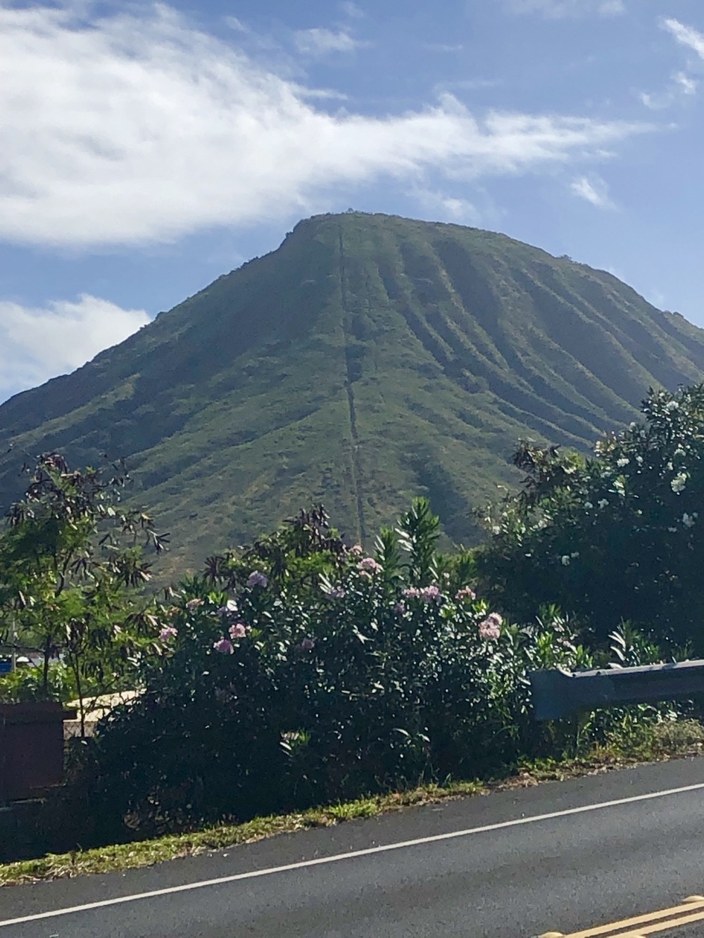 アラモアナ～ココヘッド往復ラン！の写真5