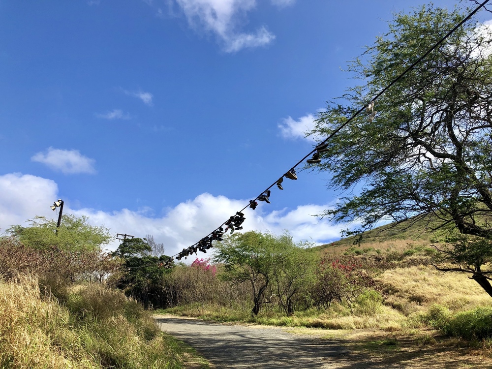 アラモアナ～ココヘッド往復ラン！の写真9