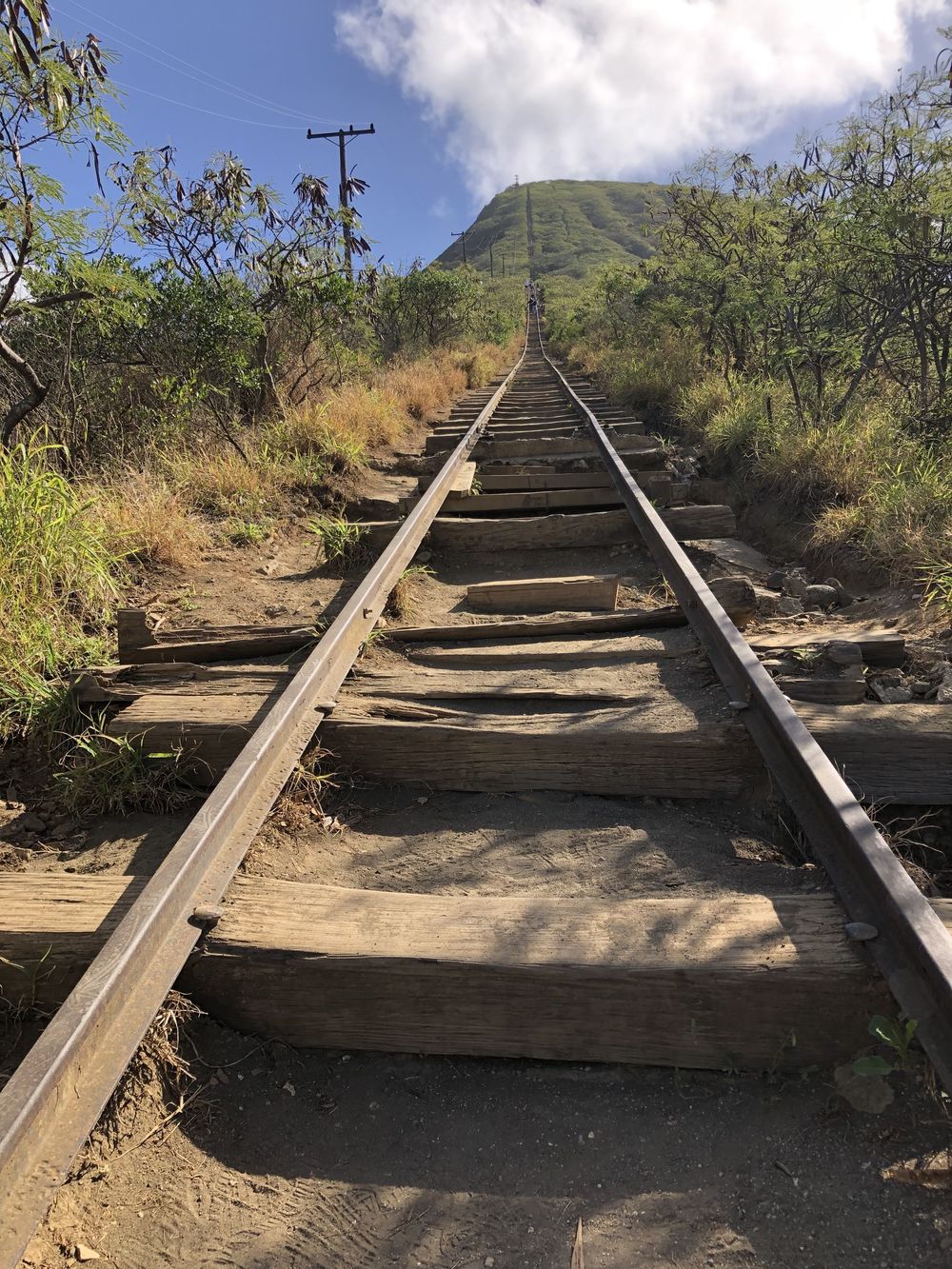 アラモアナ～ココヘッド往復ラン！の写真10