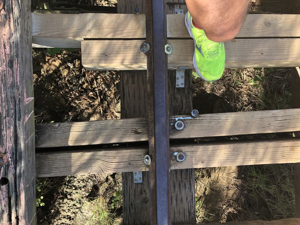 アラモアナ～ココヘッド往復ラン！の写真11