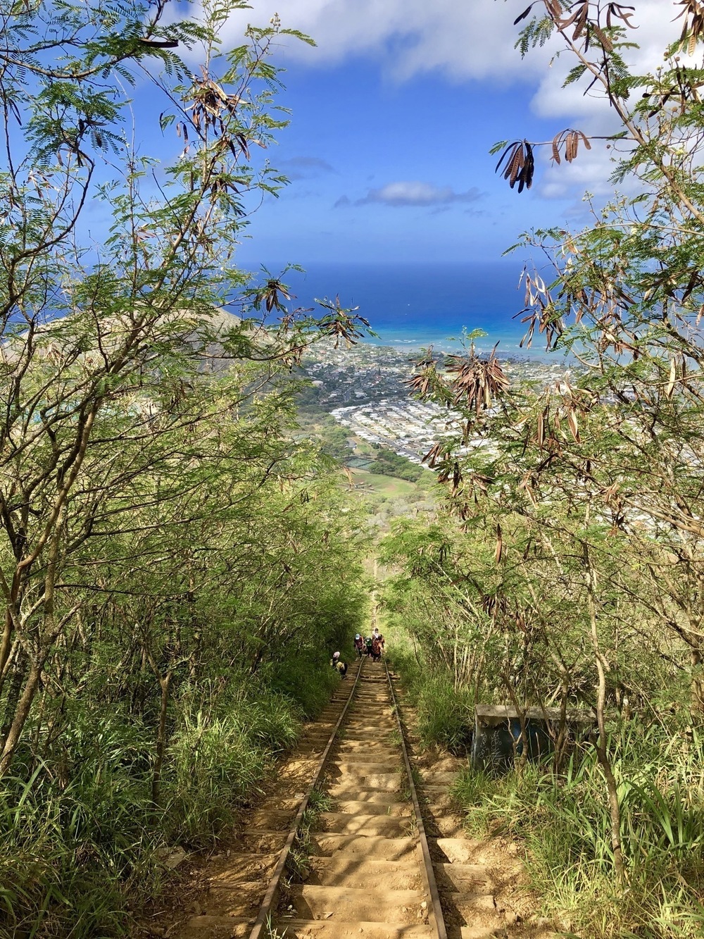 アラモアナ～ココヘッド往復ラン！の写真14