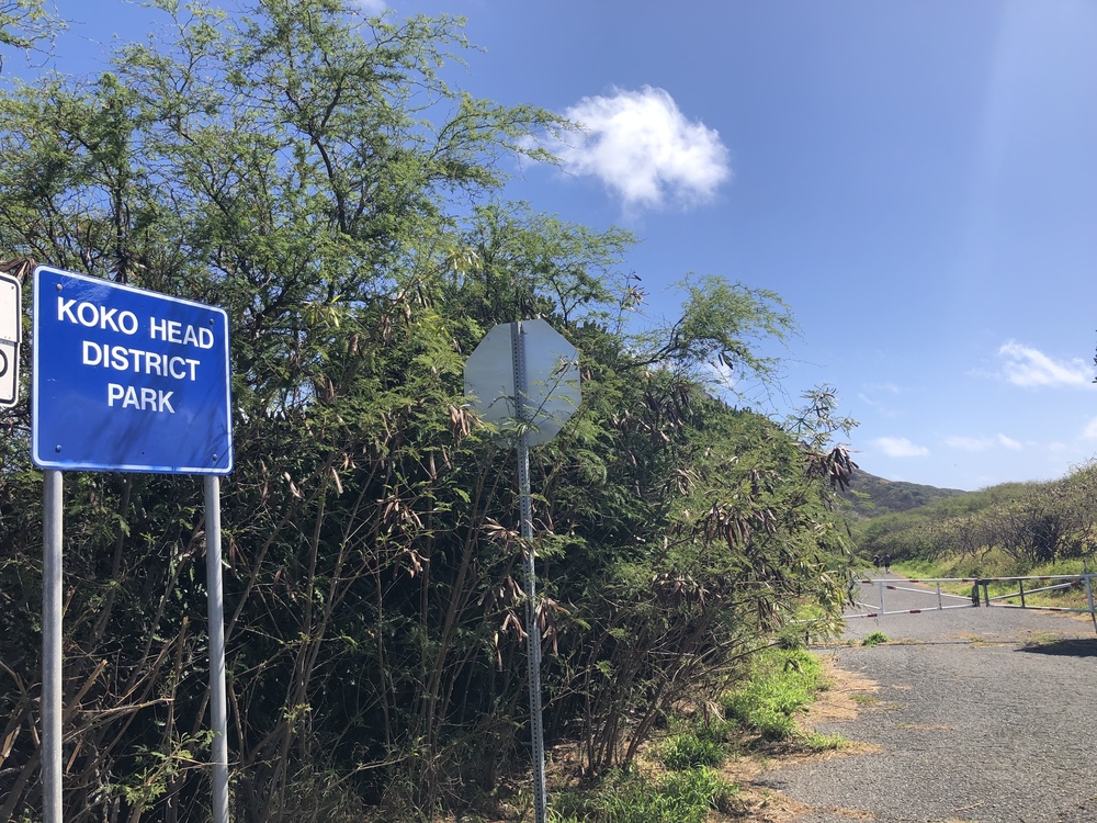 アラモアナ～ココヘッド往復ラン！の写真16