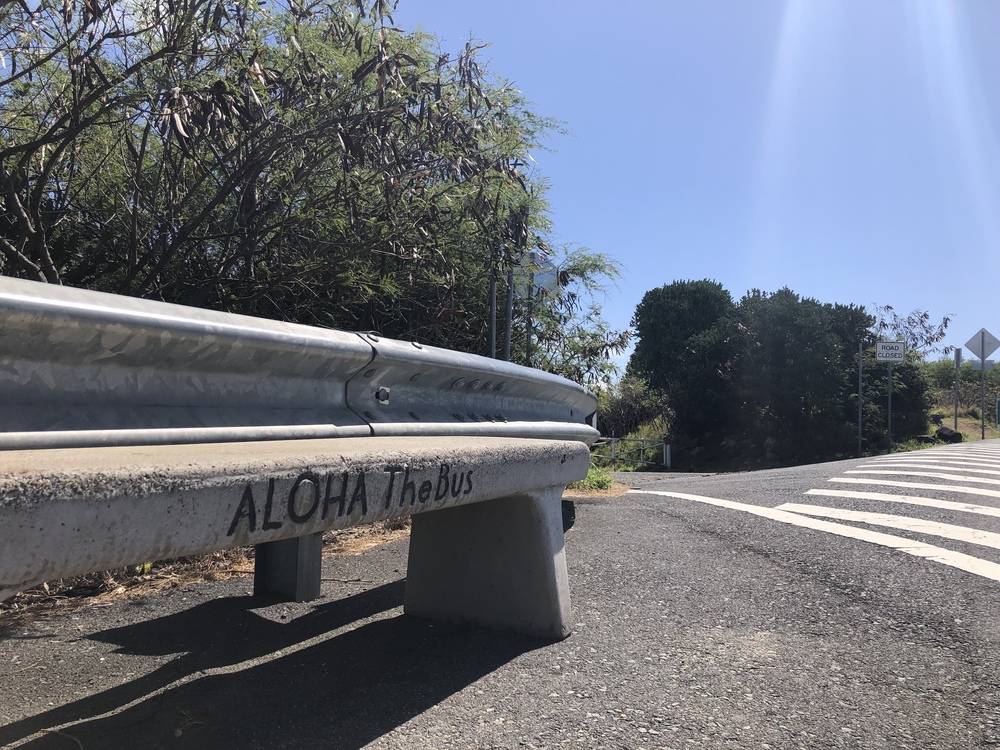 アラモアナ～ココヘッド往復ラン！の写真17