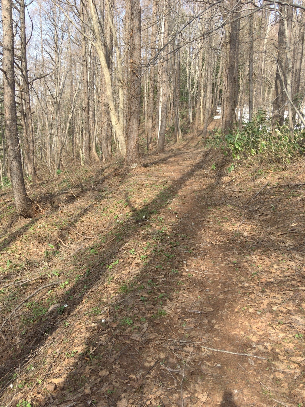 駅から徒歩13分。倶知安旭ヶ丘公園。の写真4