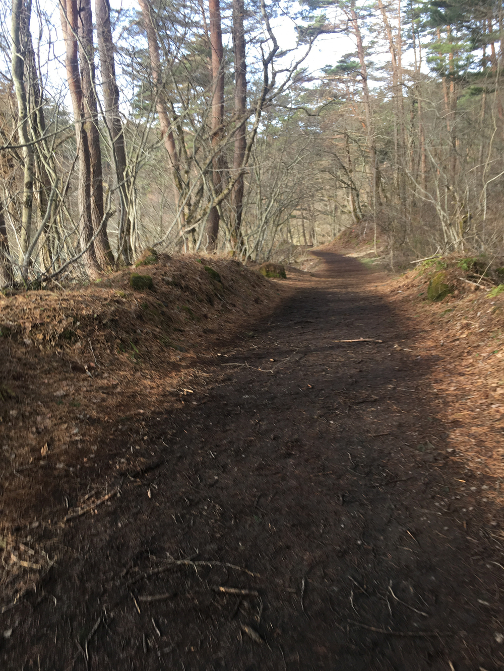 磐梯山を眺めるの写真5