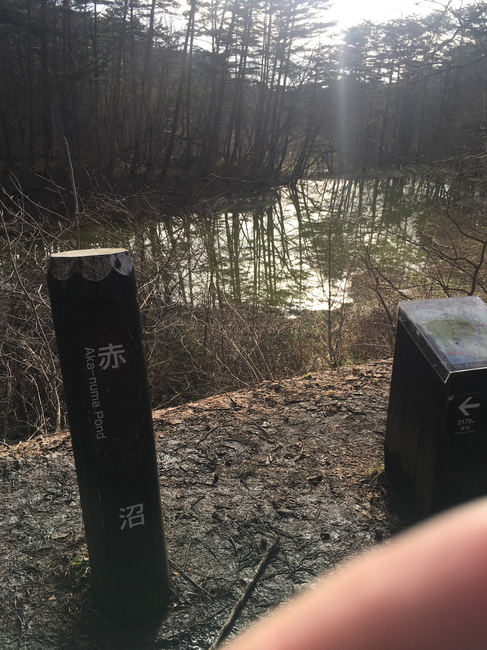 磐梯山を眺めるの写真6