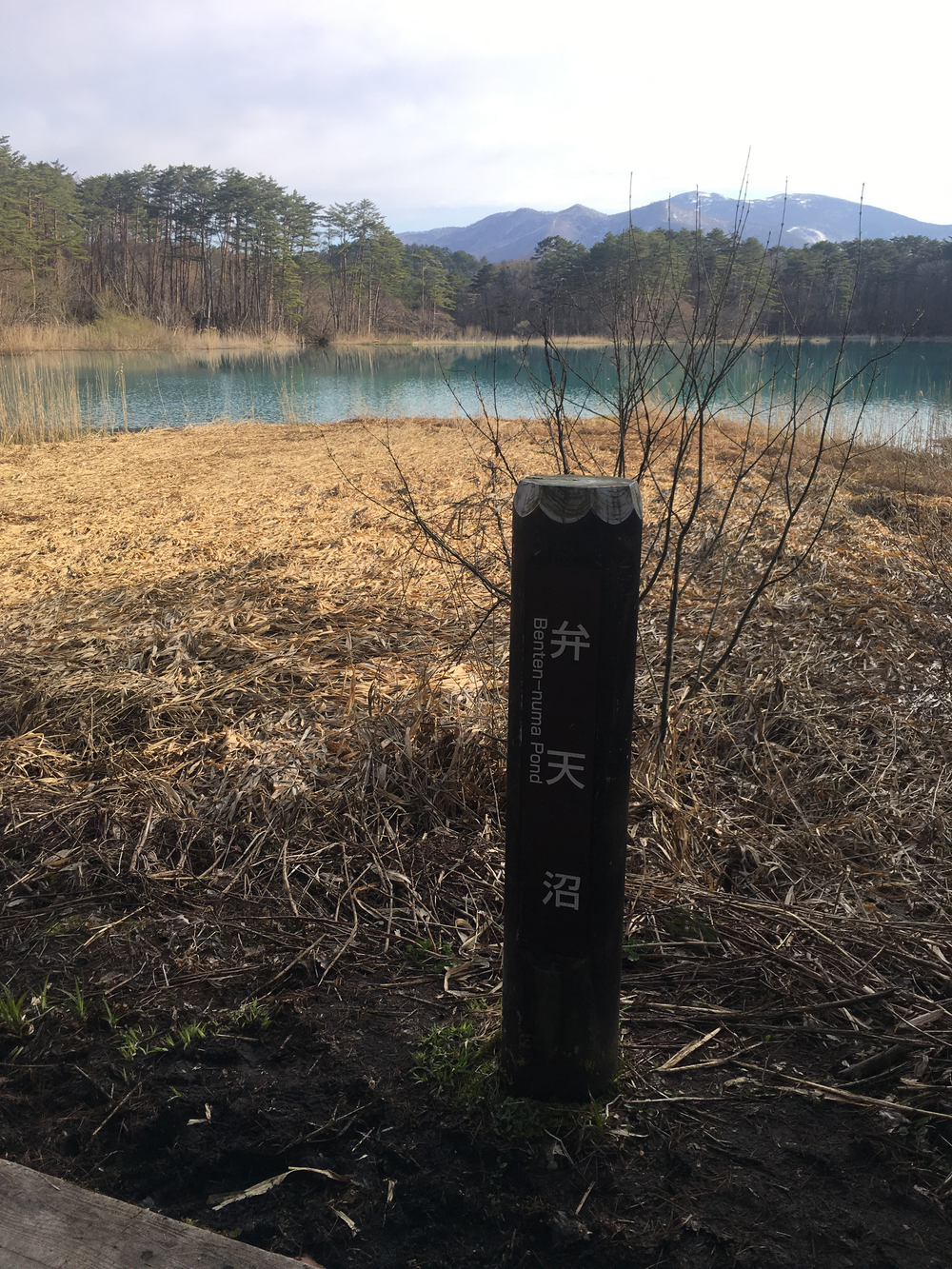 磐梯山を眺めるの写真7