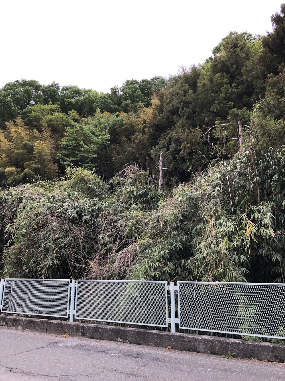 Kawasaki North Trail 〜東京一望展望台コース〜の写真3