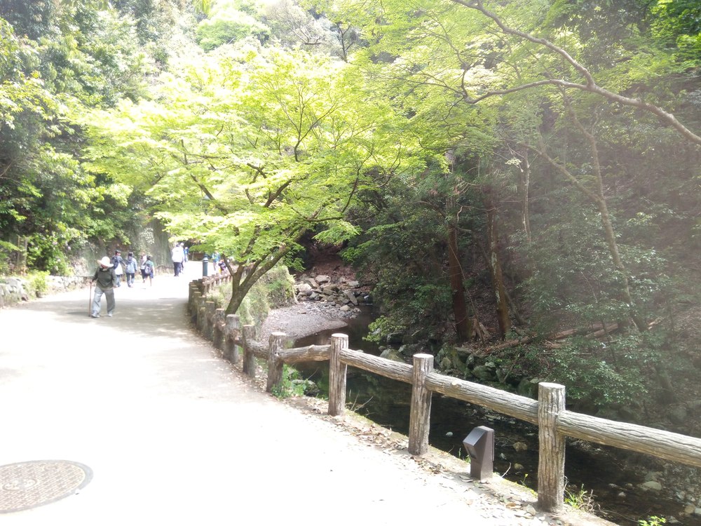 箕面の滝道トレイルランの写真3