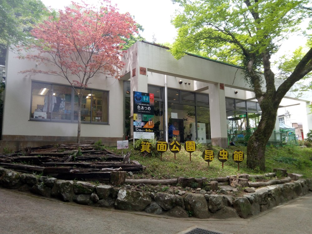 箕面の滝道トレイルランの写真4