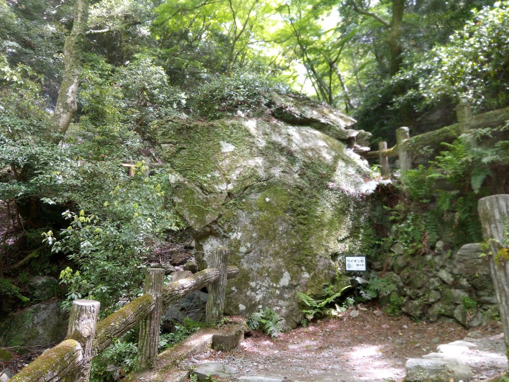 箕面の滝道トレイルランの写真5