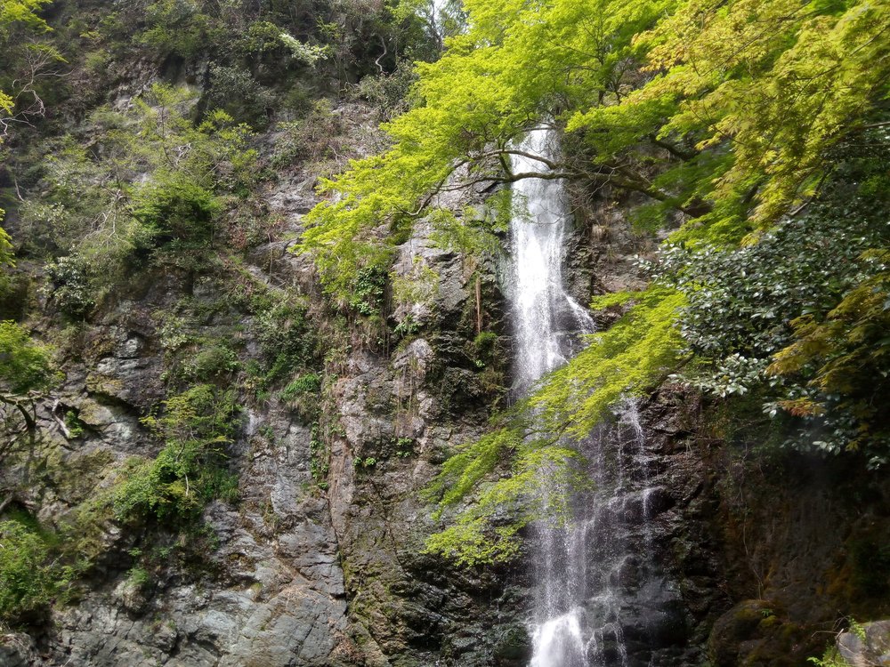 箕面の滝道トレイルランの写真6