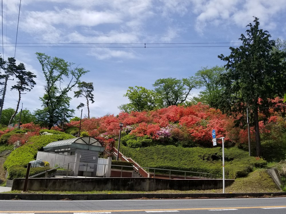 比企南丘陵(岩殿丘陵)　廃線跡を巡るクロカンコースの写真3