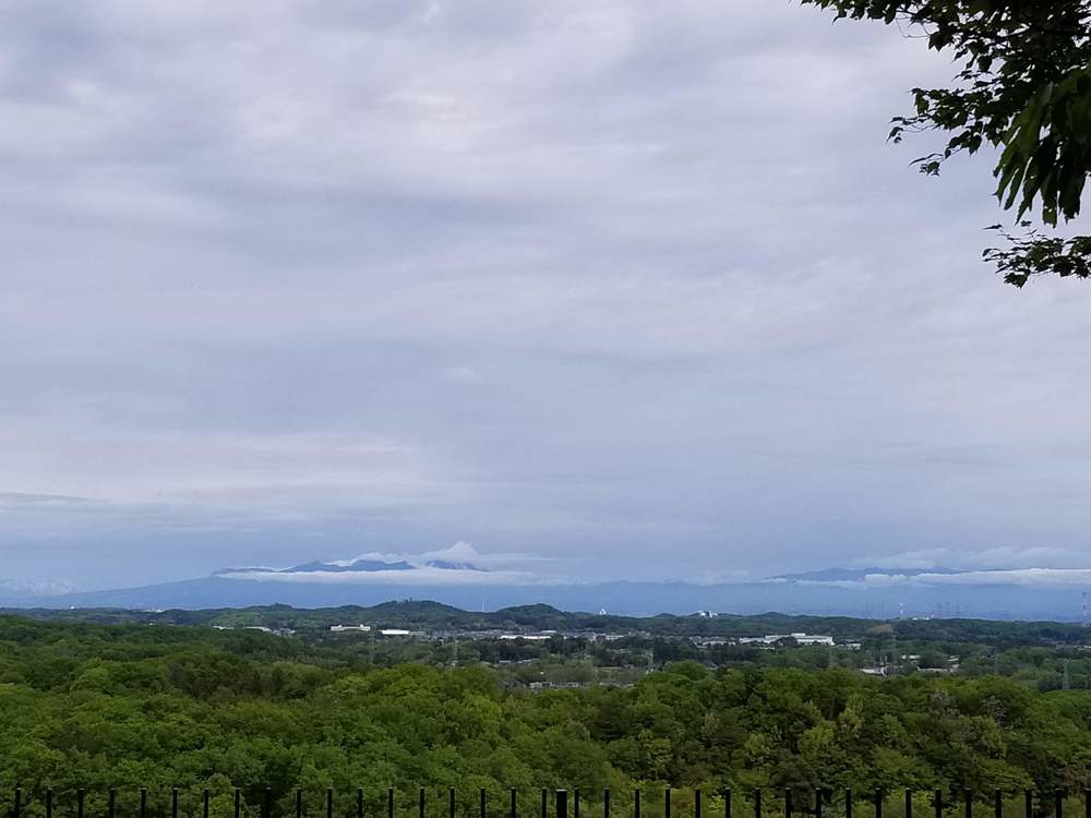 比企南丘陵(岩殿丘陵)　廃線跡を巡るクロカンコースの写真6
