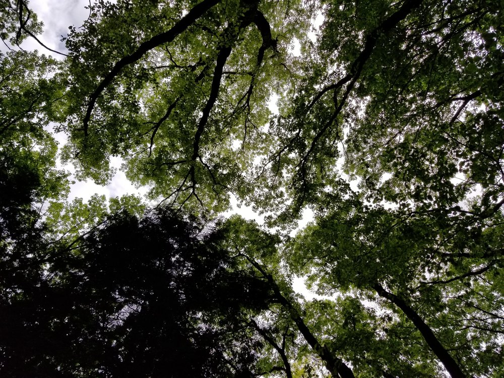 比企南丘陵(岩殿丘陵)　廃線跡を巡るクロカンコースの写真7