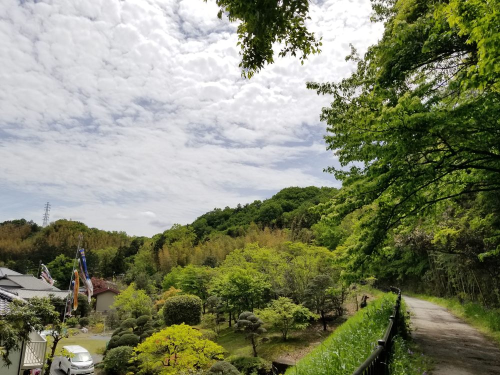 比企南丘陵(岩殿丘陵)　廃線跡を巡るクロカンコースの写真11