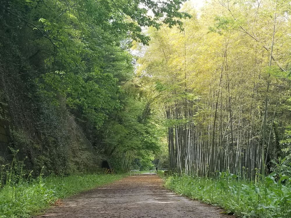 比企南丘陵(岩殿丘陵)　廃線跡を巡るクロカンコースの写真12