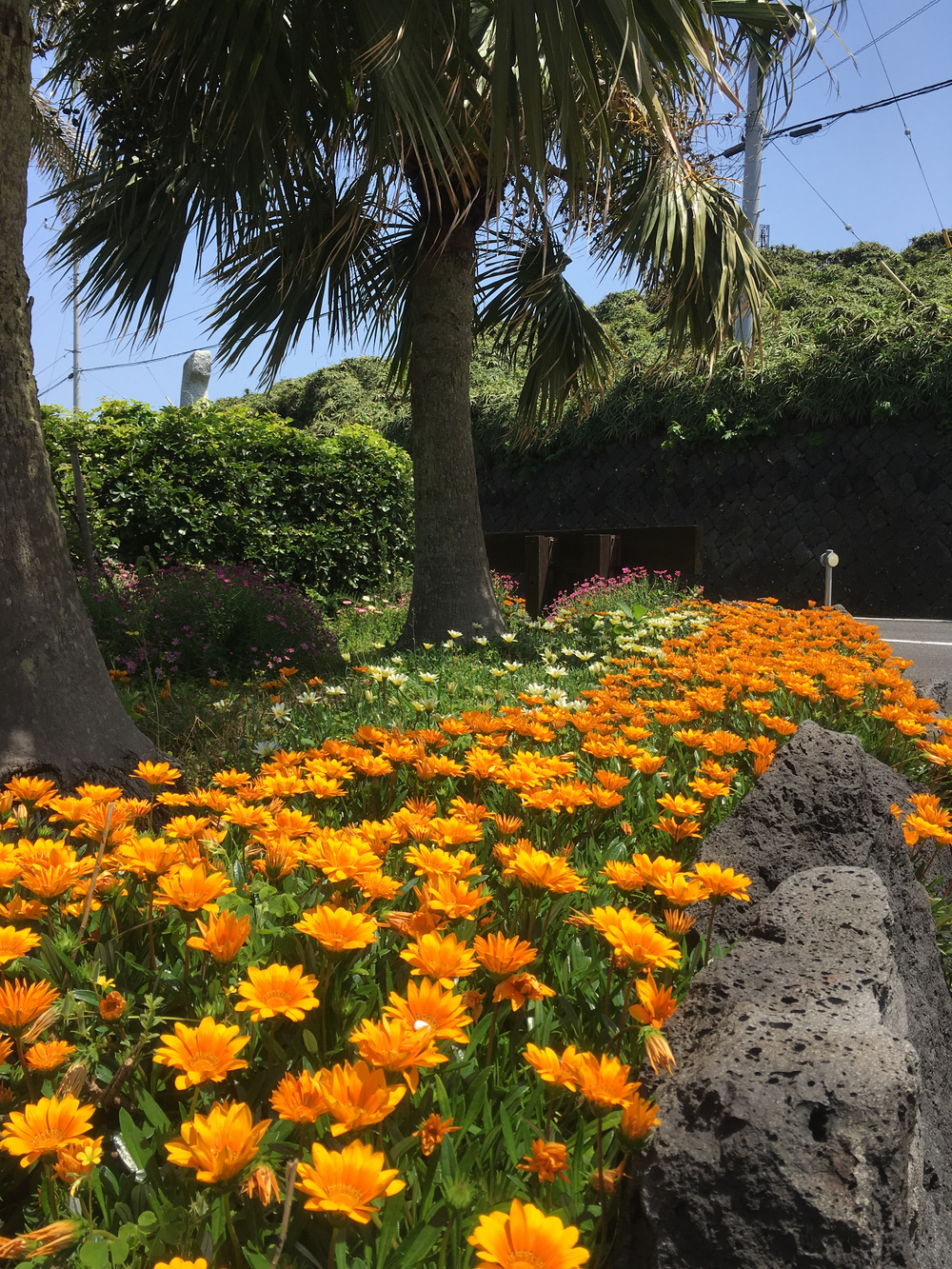 八丈一周道路の北半分を反時計回りに一周の写真5