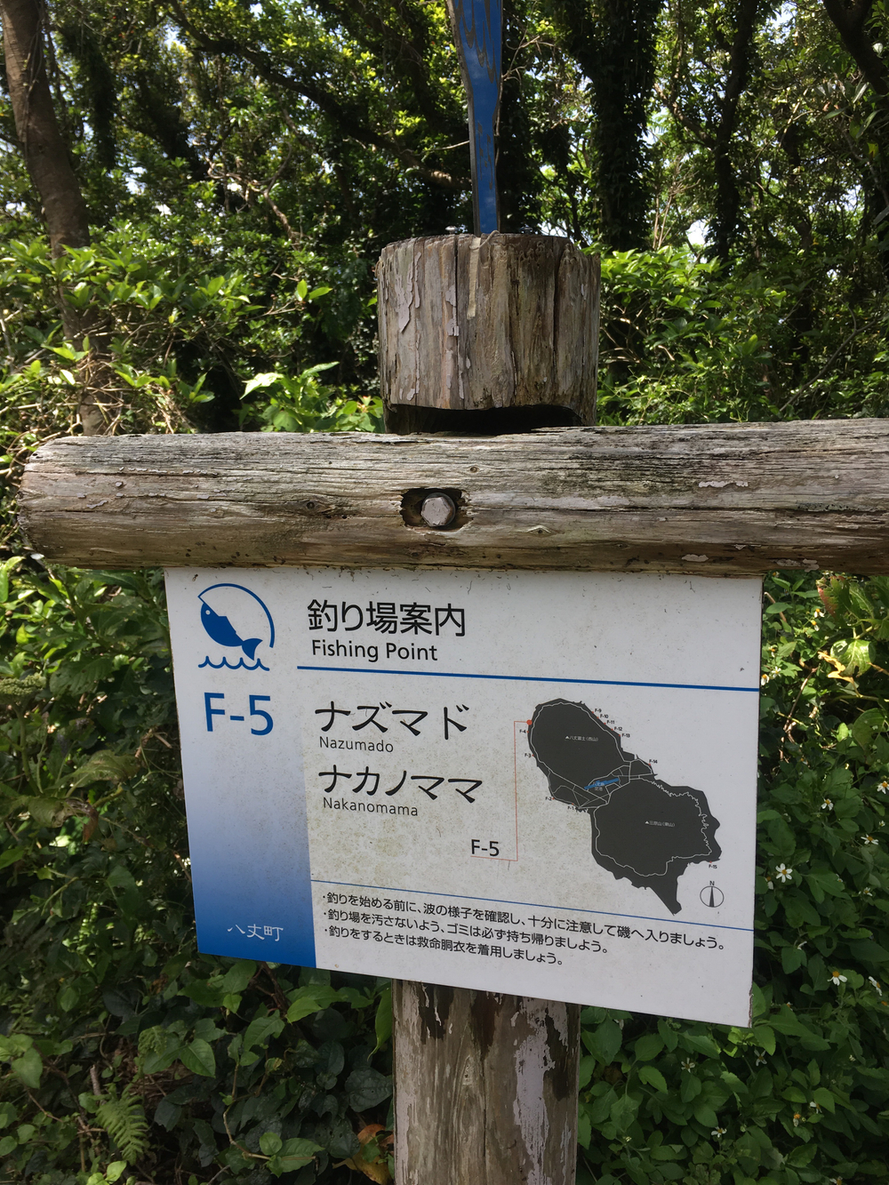 八丈一周道路の北半分を反時計回りに一周の写真7