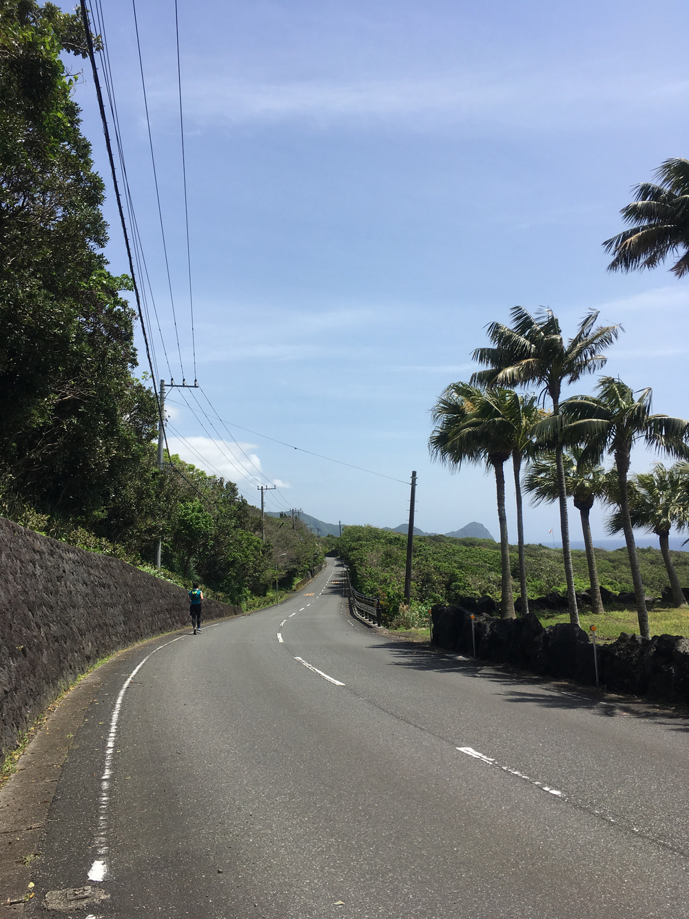 八丈一周道路の北半分を反時計回りに一周の写真9