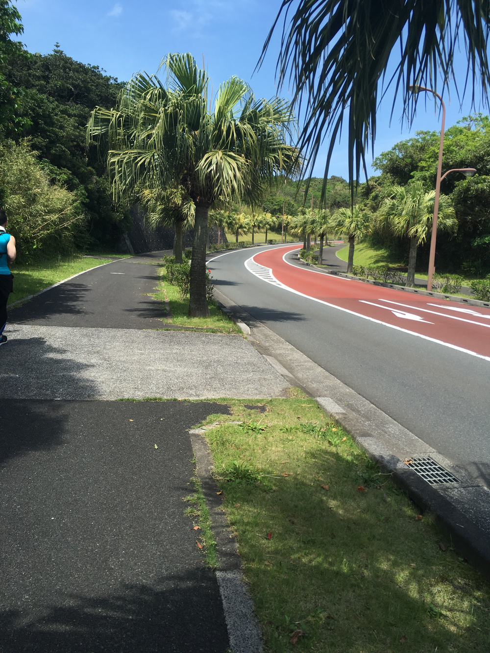 八丈一周道路の北半分を反時計回りに一周の写真13