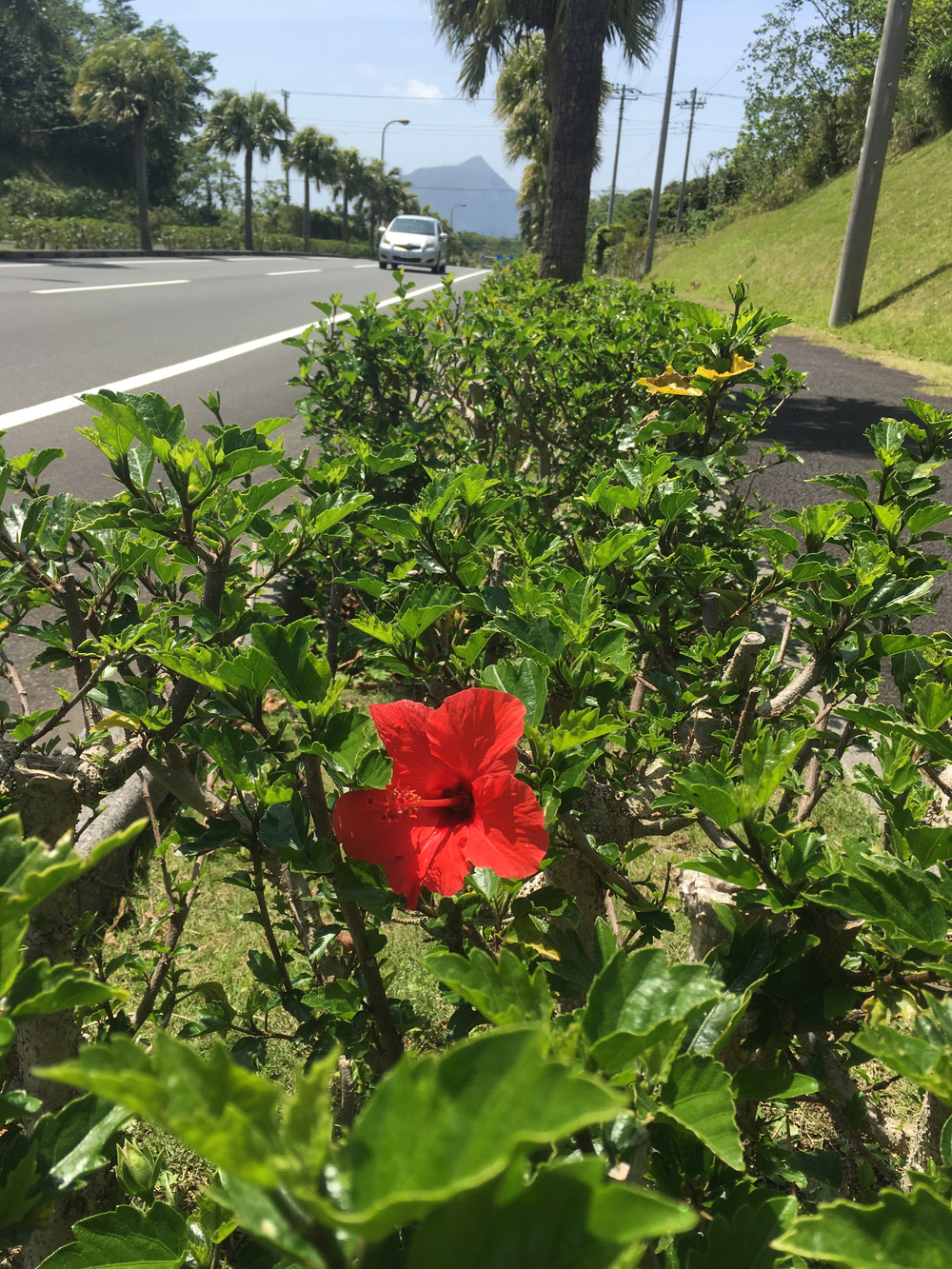 八丈一周道路の北半分を反時計回りに一周の写真14