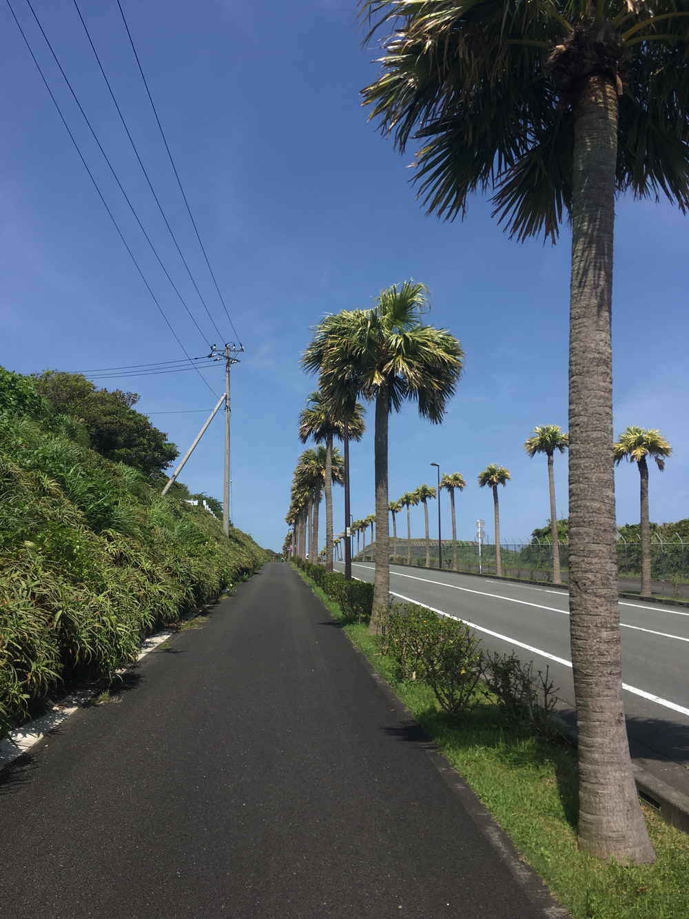 八丈一周道路の北半分を反時計回りに一周の写真15