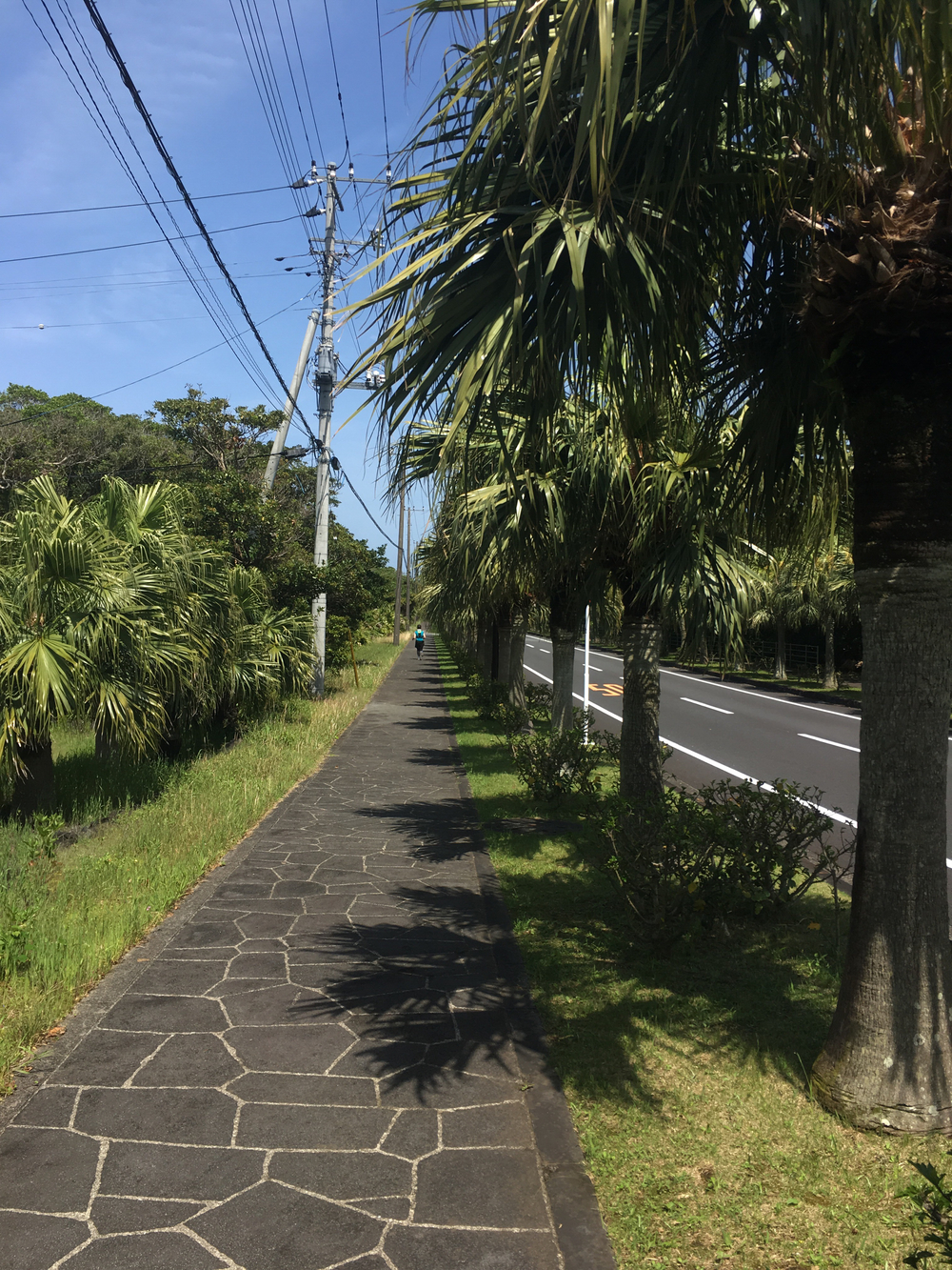 八丈一周道路の北半分を反時計回りに一周の写真16