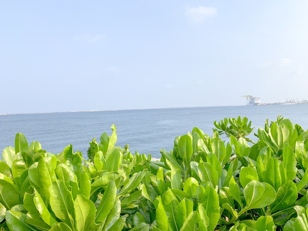 【沖縄・那覇】海と空、風と波を感じるシーサイド ＆ パークRuntripの写真6