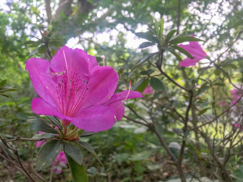 【沖縄・那覇】海と空、風と波を感じるシーサイド ＆ パークRuntripの写真13