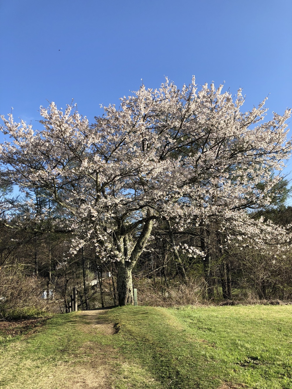 山々に囲まれての写真3