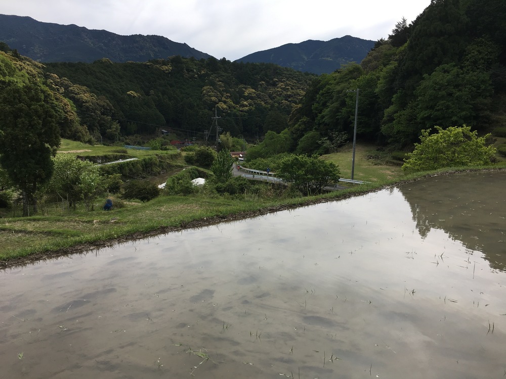 韋駄天ウルトラマラソン100kmの写真3