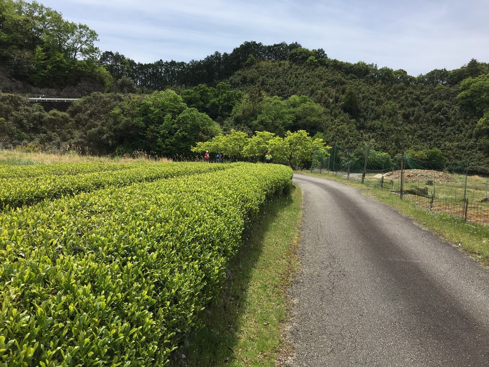 韋駄天ウルトラマラソン100kmの写真5