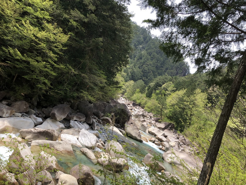 エメラルドグリーンの流れの写真4