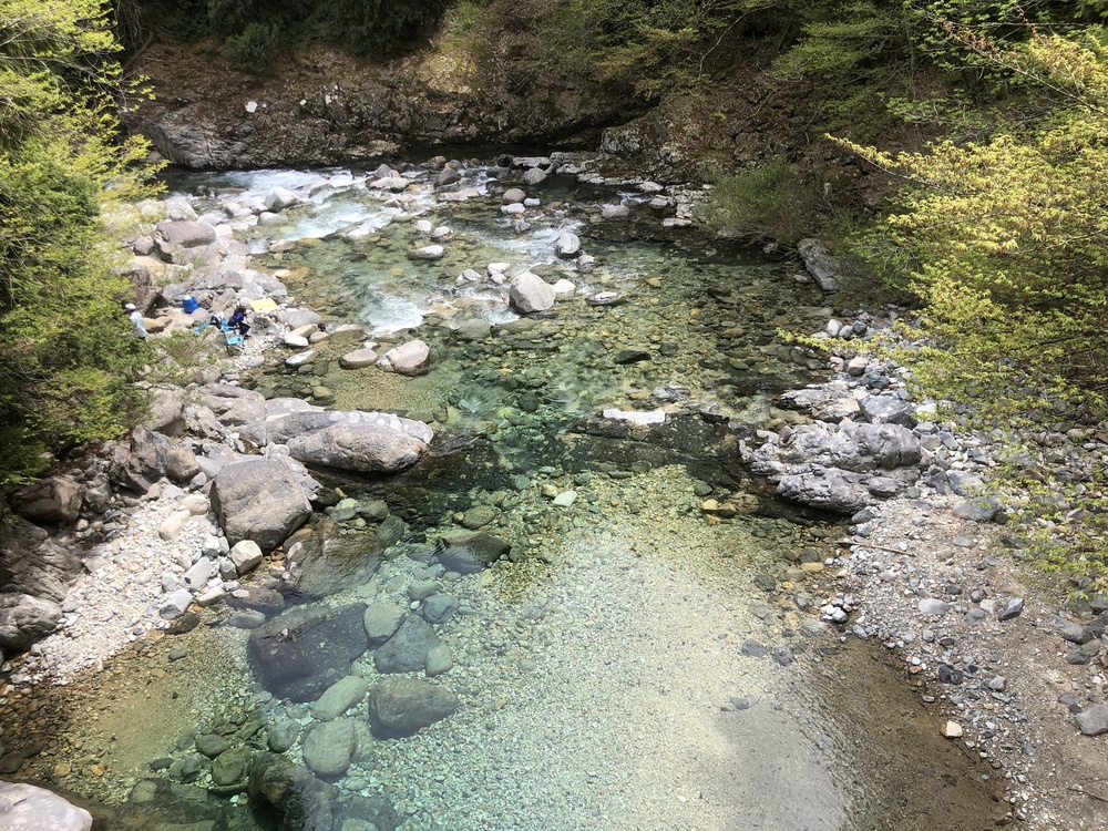 エメラルドグリーンの流れの写真5