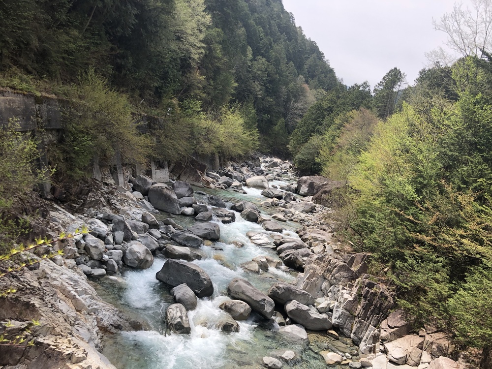 エメラルドグリーンの流れの写真6